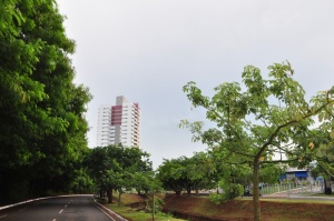 foto Notícia Campo Grande