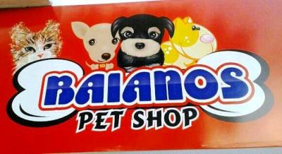 Baianos Pet Shop  Campo Grande MS