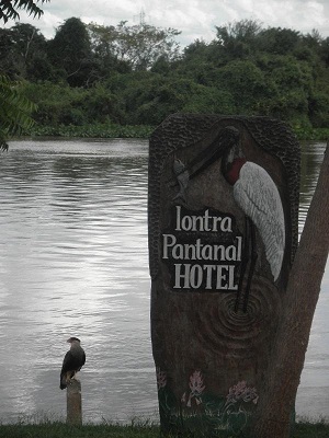 Lontra Pantanal Hotel Campo Grande MS