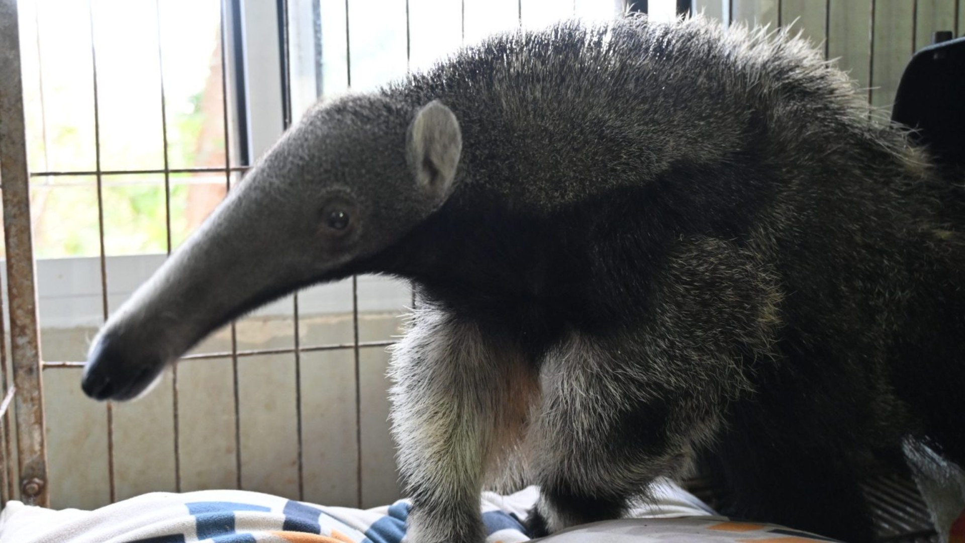 foto Not&iacute;cia Campo Grande