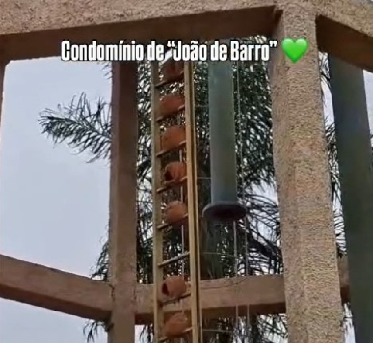 foto Not&iacute;cia Campo Grande