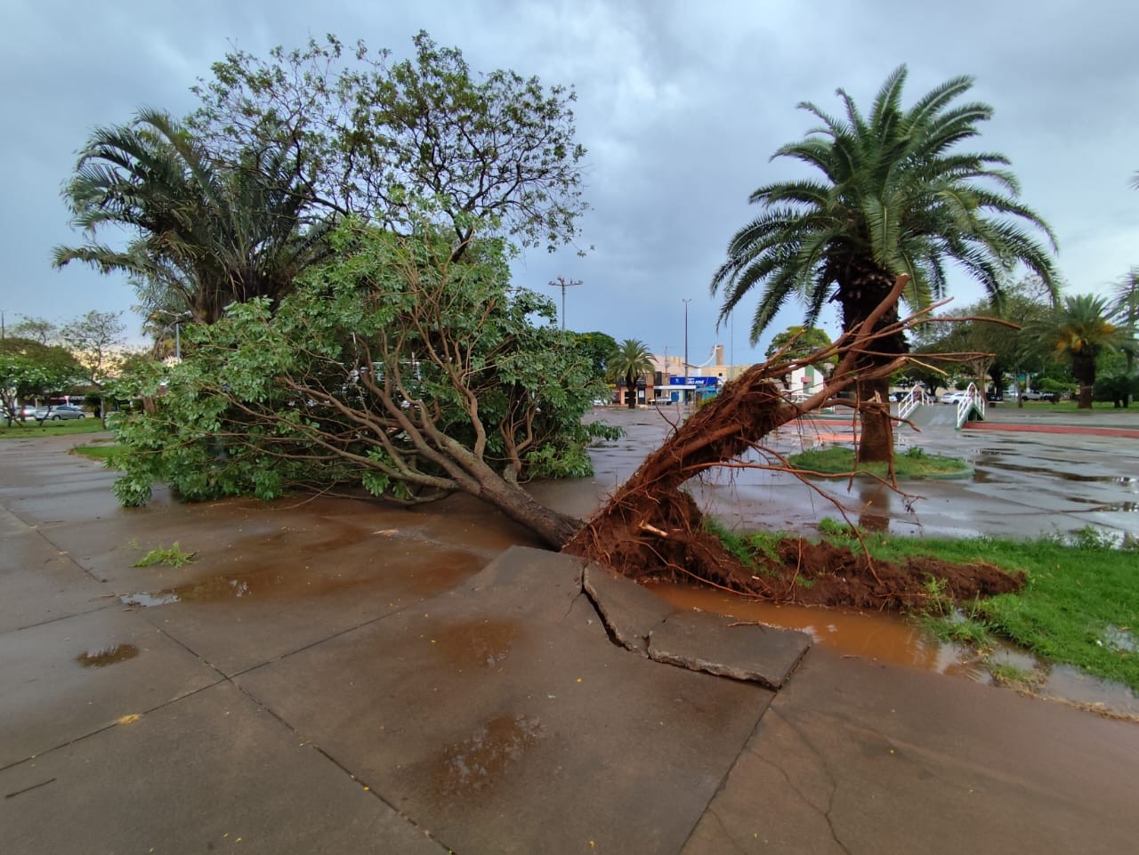 foto Not&iacute;cia Campo Grande