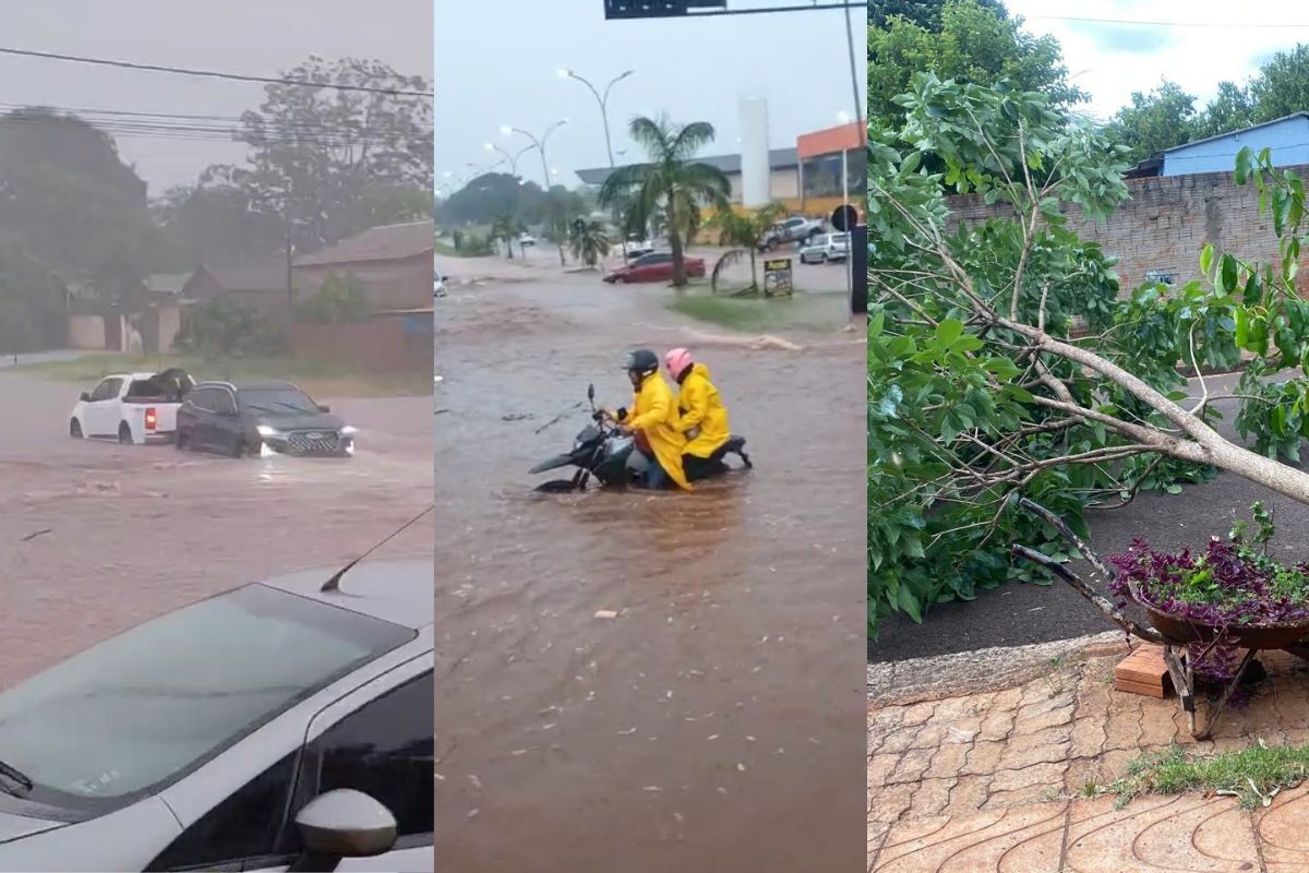 foto Not&iacute;cia Campo Grande