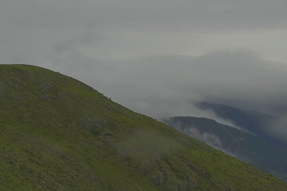 foto Not&iacute;cia Campo Grande