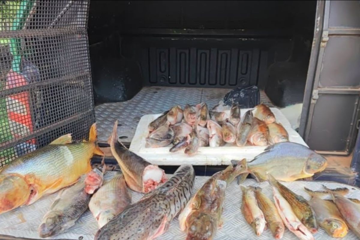 foto Not&iacute;cia Campo Grande