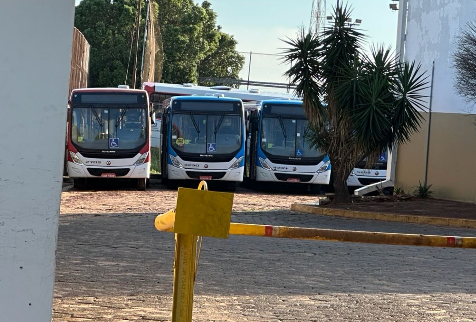 foto Not&iacute;cia Campo Grande