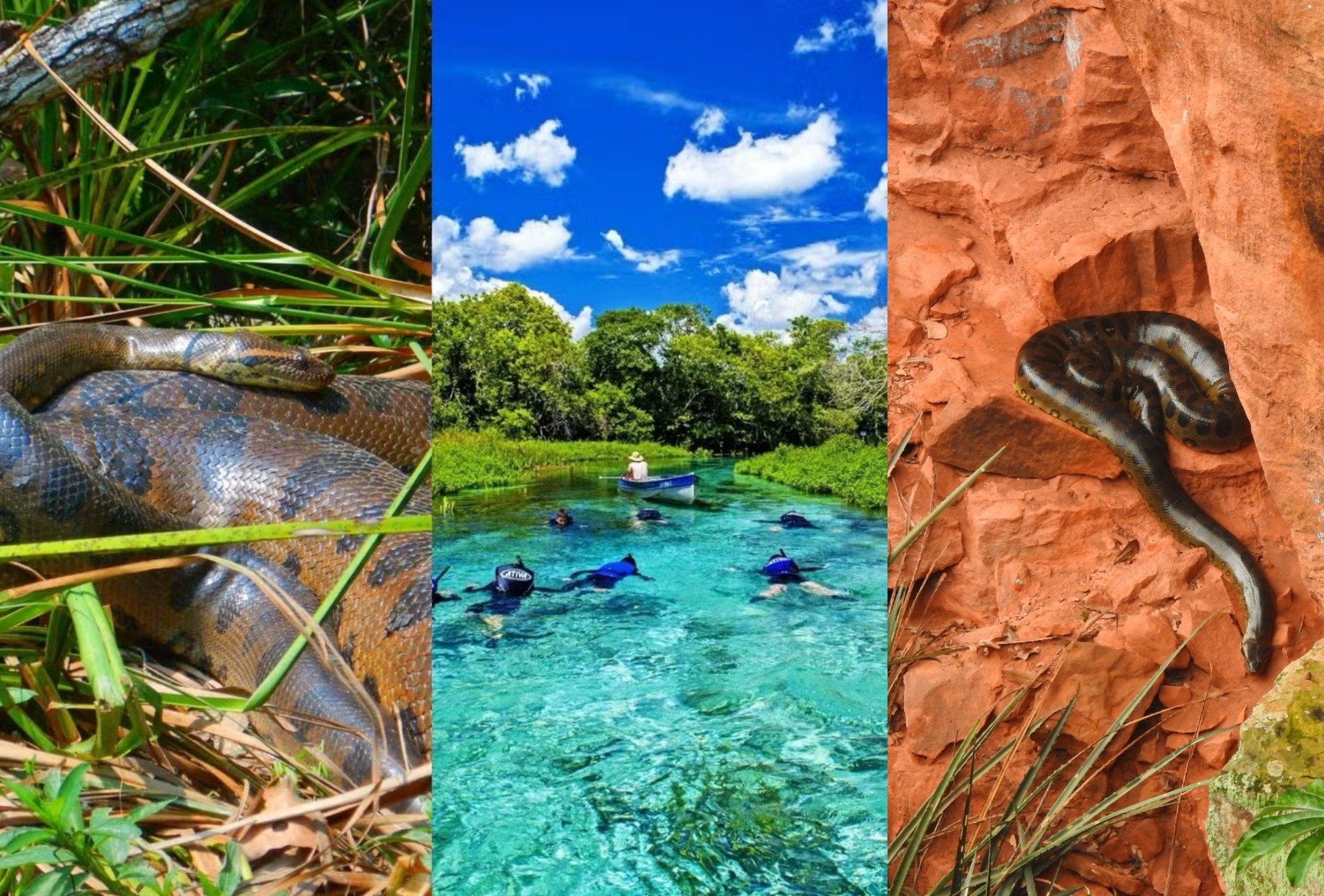 foto Not&iacute;cia Campo Grande