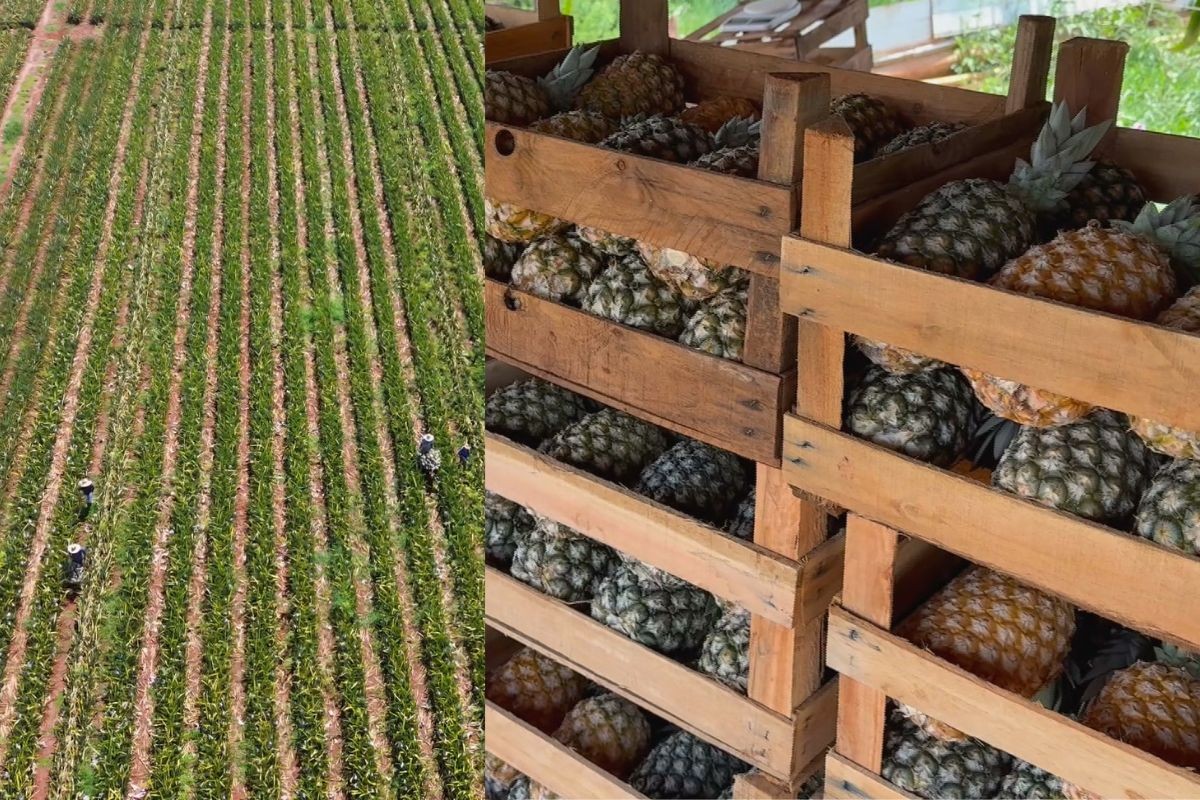 foto Not&iacute;cia Campo Grande