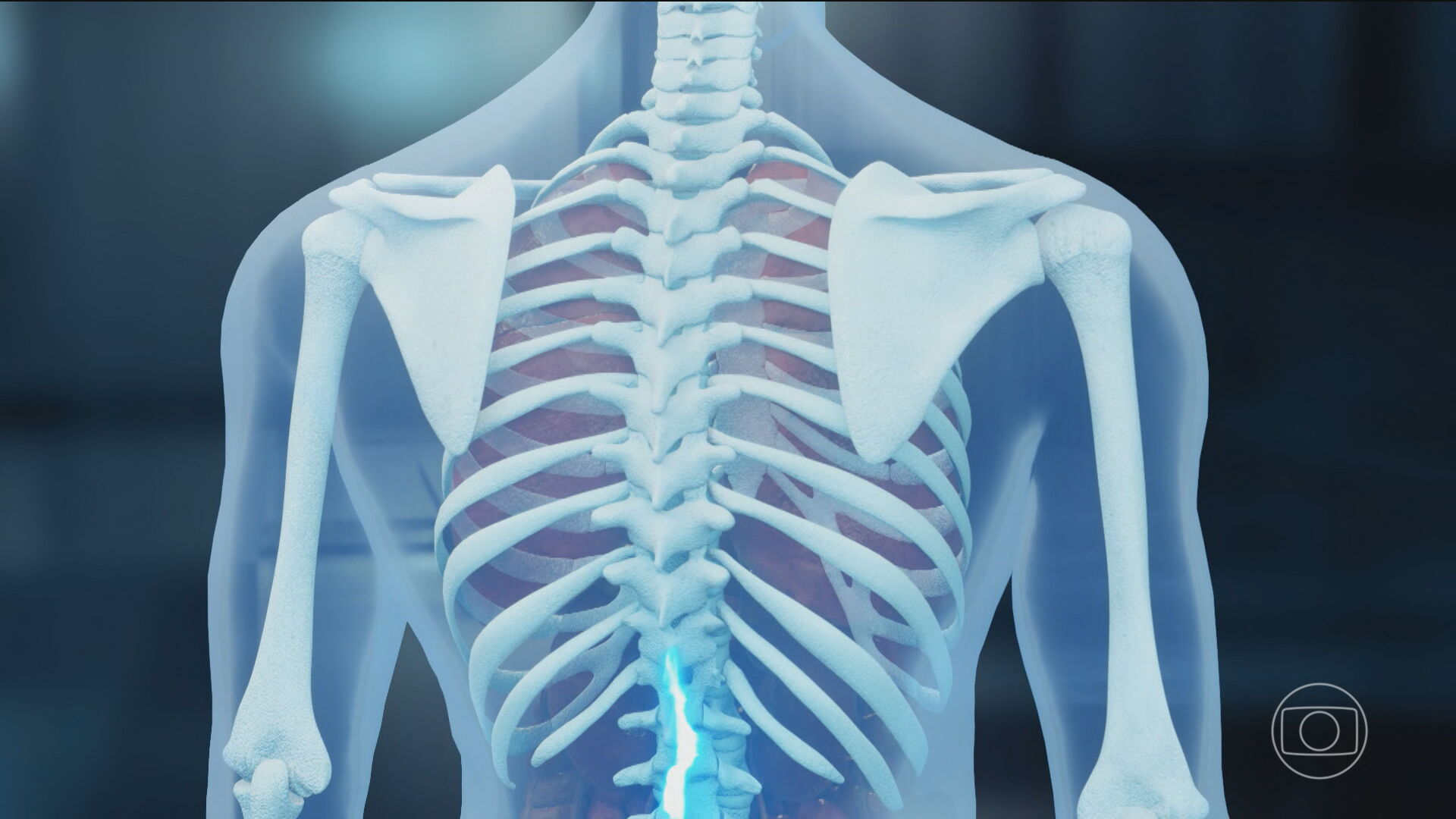 foto Not&iacute;cia Campo Grande