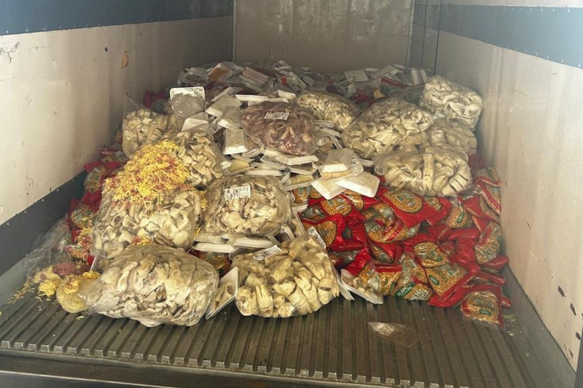 foto Not&iacute;cia Campo Grande