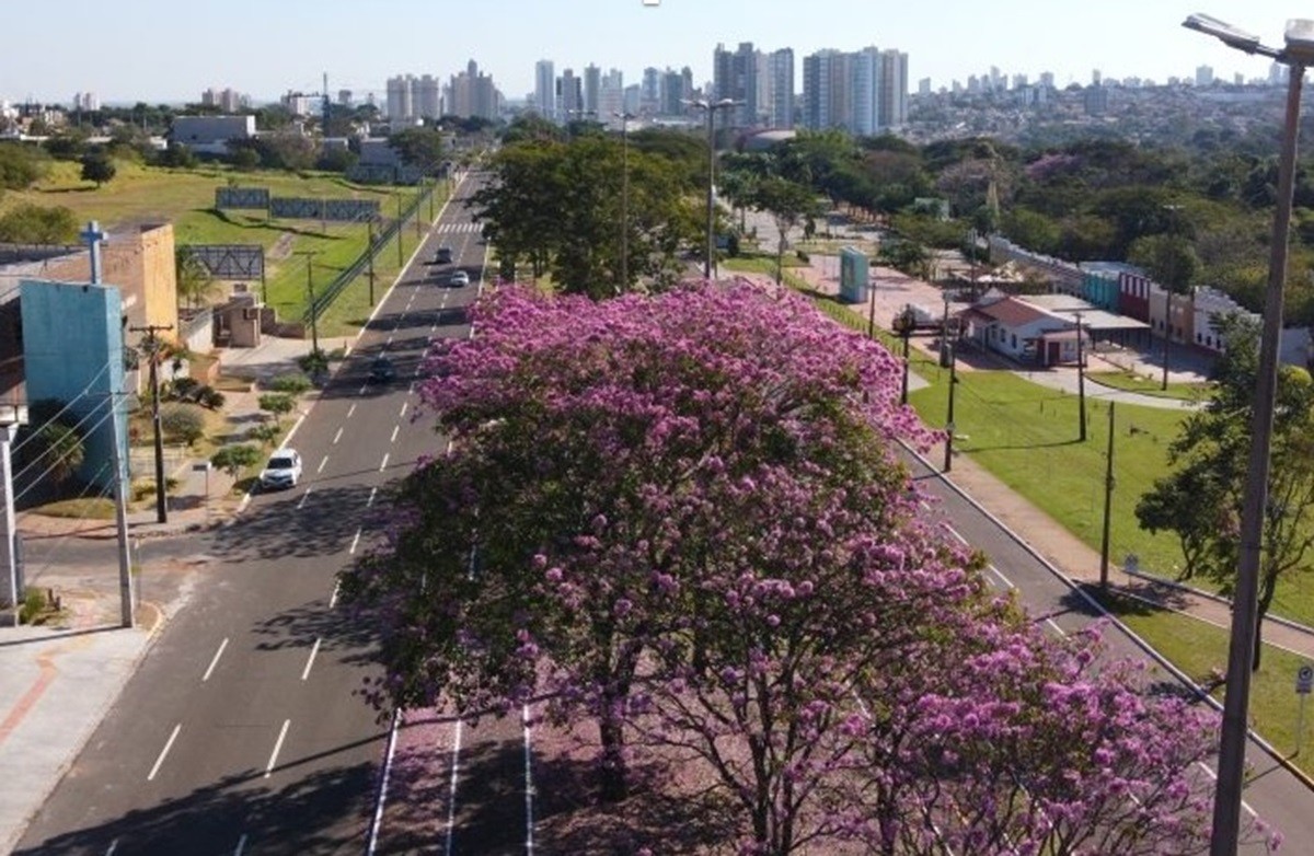 foto Not&iacute;cia Campo Grande