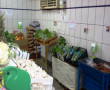 VERDURAS SEMPRE FRESQUINHAS. VENHA CONHECER NOSSA QUINTA VERDE, ÓTIMOS PREÇOS!!!